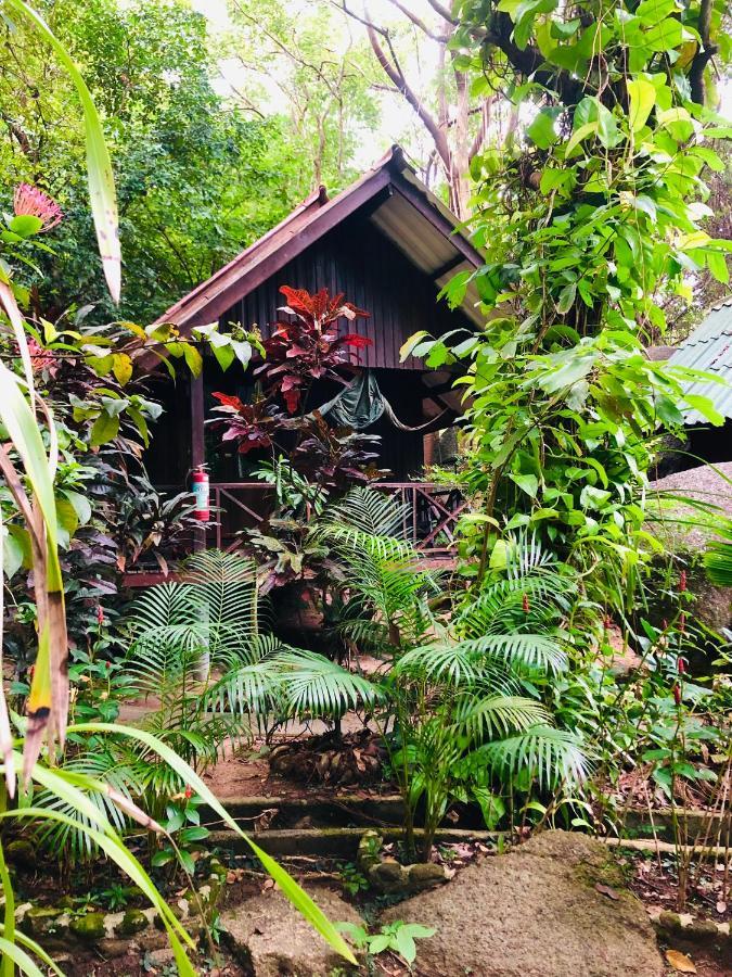 Hotel Bambu Huts à Baan Tai Extérieur photo