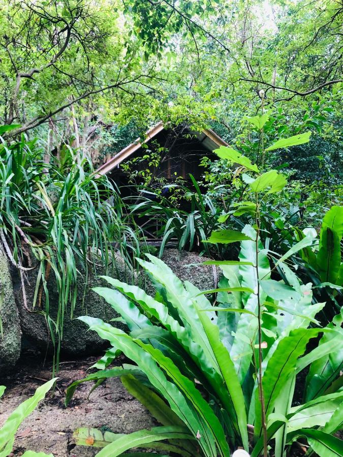 Hotel Bambu Huts à Baan Tai Extérieur photo