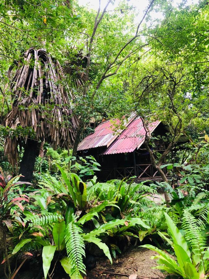 Hotel Bambu Huts à Baan Tai Extérieur photo